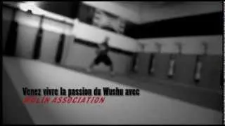 Vivez la passion du wushu avec Wulin Association!!