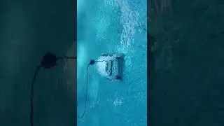 Dolphin E10 Pool Cleaner
