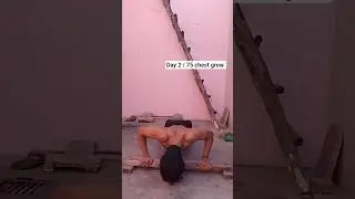 I did 100 push-up  Every day for 75 days