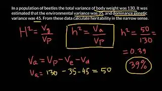 How to Calculate Narrow Sense Heritability