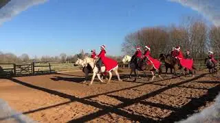 Carrousel FETE DE NOEL 2021 Ecurie du Vièvre   HD 1080p