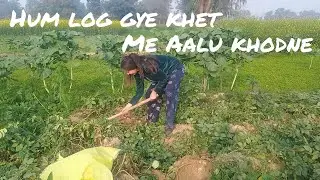 हम लोग गए आलू खोदने खेत में | We went to the fields to dig potatoes | bindass Tiwari girl | 