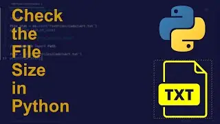 Check the File Size in Python | Python Examples | Python Coding Tutorial | Python Coding Interview