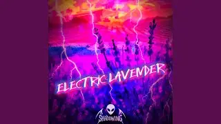 ELECTRIC LAVENDER