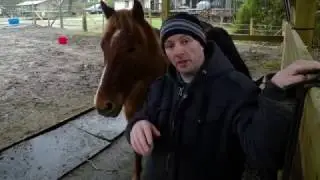 Taking Care of Horses: Winter Care and Blanketing