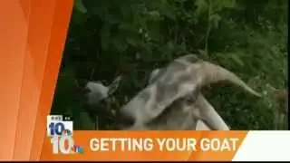 WJAR NBC 10 Sunrise Blooper