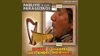 Pajaro Campana