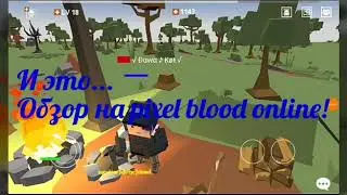 Играю в Pixel Blood Online