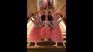 Viennese Ball 2019