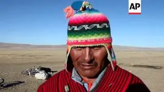 Villagers on motorcycles round up vicunas to harvest their prized fur