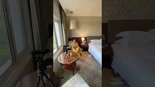 Room tour in TAJ HOTEL | 16000 INR room 🤑🤑💰| #tajhotels #delhi #delhihotel #taj #roomtour #hotel