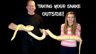 10 Dangers of Taking Your Pet Snake Outdoors