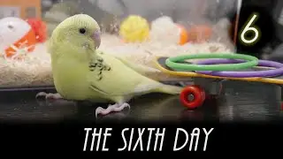 the sixth day ★ 6日目