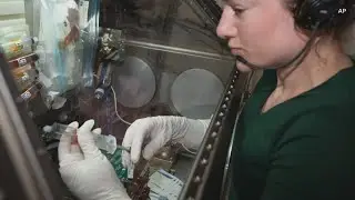 Maine native Jessica Meir carries out research in space
