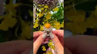 Самый дорогой жемчуг на планете! #жемчуг #драгоценныекамни