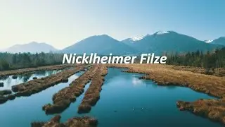 Nicklheimer Filze 2019