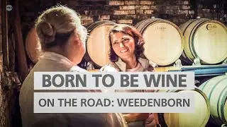 BORN TO BE WINE on the road &ndash; Zu Besuch auf Weingut Weedenborn