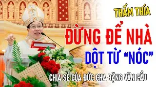 TIN MỚI! ĐỨC CHA ĐẶNG VĂN CẦU CHIA SẺ VỀ 
