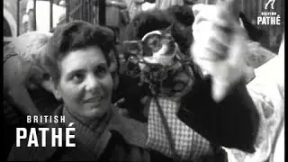 Blessing Of Animals In Rome (1961)