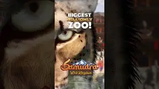 ⛰️ The BIGGEST Asia Zoo in Planet Zoo! | #planetzoo #shorts