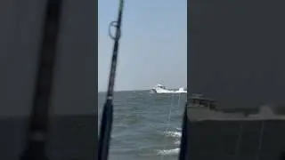 A Freeman boat in 3-5 foot seas at 40 mph #boat #shorts #shortsvideo #fishing