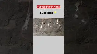 Fuse Bulb Craft #shorts  #hanging #diy  #ytshorts #viral #craft #homedecor #howto