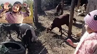 Holidays in the Pakistani  countryside | mountains