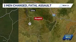Three men charged in fatal assault