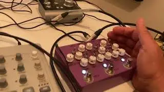 Mining for Sounds 10 - Montreal Assembly Purpl pedal +Model Cycles