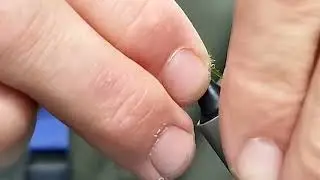 MOSCAS DESDE CERO  46 CADDIS PUPA TRICOPTERO