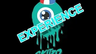 Skitzo Experience Crash
