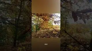 #nature #photography