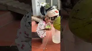 Cute monkey Nana #monkey #babymonkey #cutemonkey #cute #animals #nanamonkey