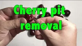 cherry pit removal