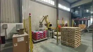 robotic arm from Longhai automation Ltd.