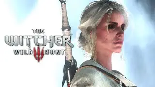 The Witcher 3: Wild Hunt 