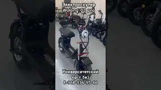 Электроскутер Wolong C3 pro