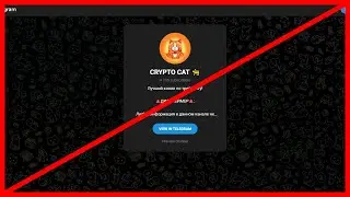 CRYPTO CAT мошенник? Отзывы и обзор!