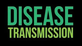 How do Mosquitoes Spread Diseases?