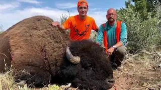 Bison hunt in the Utah Bookcliffs