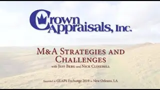 M&A Strategies and Challenges