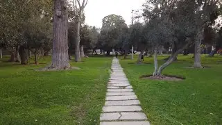 [400 years old trees]   Walking tour of the park 