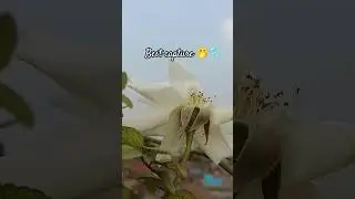 best capture moments||cloud||life