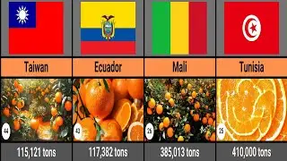 Orange Production of Countries (Top 50)