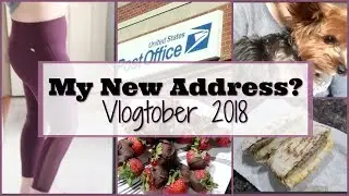 Что я ел на WW Points Plus, мой новый адрес и многое другое... | Vlogtober 24.10.2018