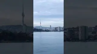 Dolphins&rsquo; Dance in the Waters of the Sea of Marmara