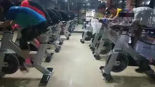 SpinSanity