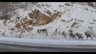 Winter Drive: Ca&ntilde;on City, CO to Salida, CO