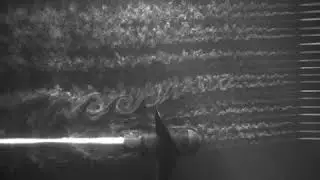 New Underwater High-speed Camera and Dye-Injection System