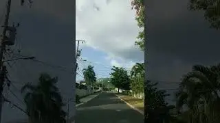 Cherry Gardens Jamaica